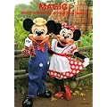 �R�I�M�@at�@�����f�B�Y�j�[���]�[�g�@MAGIC