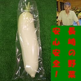 ��B�@���茧�Y�@�_�Y���������@�̔��p�@�卪