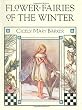 Flower Fairies of the Winter
