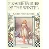 Flower Fairies of the Winter