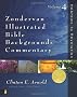 Zondervan Illustrated Bible Backgrounds Commentary: Hebrews to Revelation