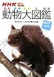 NHK�͂�[!���ɂ܂� ������}�Ӂ\�ٓ��ޓ��{��