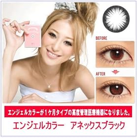 �G���W�F���J���[�@Annex�u���b�N�@�x�Ȃ��J���R���i2������j���f���R�{�D��C���[�W�K�[��