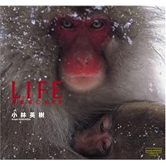 LIFE �n���J�ɐ�����(�ʐ^�W)