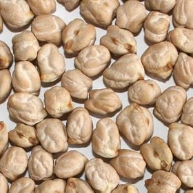 �A�����J�Y �Ђ悱�� �y1kg�z