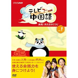 テレビで中国語 実感!伝えるヨロコビ(DVD-BOX)