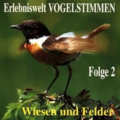 Erlebniswelt Vogelstimmen