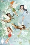  Disney Fairies (Group, Fairy Wings) Art Poster Print - 22x34