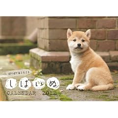 ���΂���CALENDAR 2012