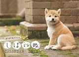 ���΂���CALENDAR 2012 (�m�J�����_-�n)