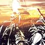City Hunter Sound Collection X-Theme Songs-