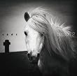 Lesson 2�i�W���P�b�gA�j