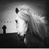 Lesson 2�i�W���P�b�gA�j