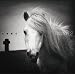 Lesson 2�i�W���P�b�gA�j