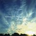 THE OUTCOME FOSTERS DETACHMENT