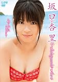 ����Ǘ� ��������~�A����17�� [DVD]