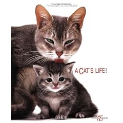 A Cat's Life