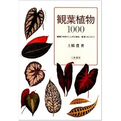 �ϗt�A��1000�\��ނ̓���������ȍ͔|�E�Ǘ��̎d���܂�