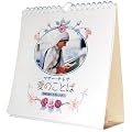 �}�U�[��e���T�u���̂��Ƃ�/���N���߂���J�����_�[�v [2012�N �J�����_�[]