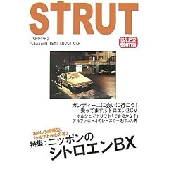 �G���X�[CAR�{ STRUT ISSUE�q02�r���W �V�g���G��BX