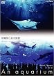 NHKDVD ������~An Aquarium~ �������C������