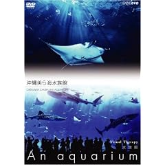 NHKDVD ������~An Aquarium~ �������C������