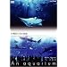 NHKDVD ������~An Aquarium~ �������C������