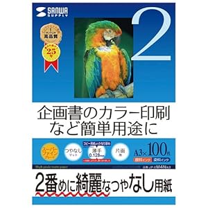 【クリックでお店のこの商品のページへ】SANWA SUPPLY インクジェットスーパーファイン用紙(A3) JP-EM4NA3
