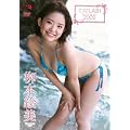 �~�XFLASH2009 ���{�G�� [DVD]