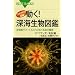 DVD-ROM���}���@�����I�@�[�C�����}�� (�u���[�o�b�N�X)