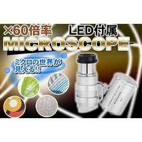 LED�t�� ���^�}�C�N���X�R�[�v ��60�{��