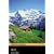 Heidi CD Pack (Book &  CD) (Penguin Readers Simplified Texts)