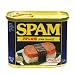 �z�[���� �X�p�� 20%���X�\���g 340g