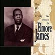 The Sky Is Crying : The History of Elmore James