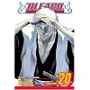 Bleach, Vol. 20 (Bleach (Graphic Novels))