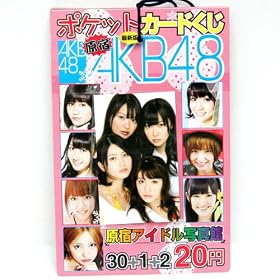 �`�j�a48�|�P�b�g�J�[�h���� 30�t