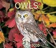 Owls 2010 Calendar