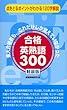 ���i�p�n��300 �y����