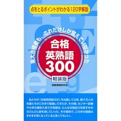 ���i�p�n��300 �y����