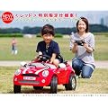 �����Ԍ��艿�i�����������y�d����p���W�R���zMINI CAR �~�j�N�[�p�[�^�C�v�@���b�h(�X�g���C�v���Ȃ܂��V�[���t)