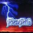 FORCEFIELD