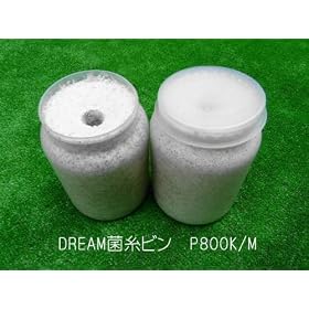 DREAM�ێ��r���N�k�M P800K