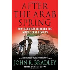 After the Arab Spring: How the Islamists Hijacked the Middle East Revolts