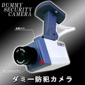 �h�� �ł��� ���S �_�~�[ �h�� �J����