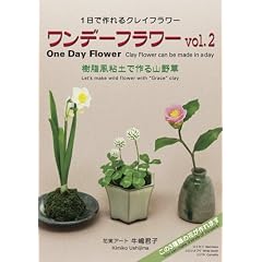 �����f�[�t�����[vol.2 One Day Flower vol.2 (�������S�y�ō��R�쑐) [DVD]