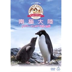 「どうぶつ奇想天外!」presents南極大陸・アデリーペンギン子育て物語