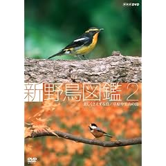 �V �쒹�}�� ��2�W �������������钹/�����◢�R�̒� [DVD]