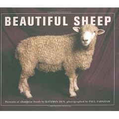 Beautiful Sheep: Portraits of Champion Breeds