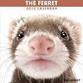 THE FERRET [2012�N �J�����_�[]