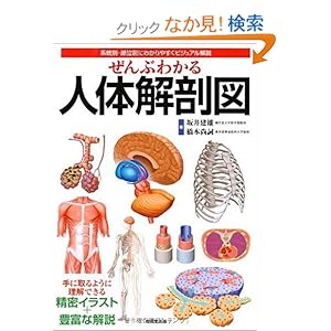 【クリックでお店のこの商品のページへ】ぜんぶわかる人体解剖図―系統別・部位別にわかりやすくビジュアル解説: 坂井 建雄, 橋本 尚詞: 本